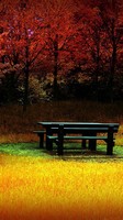 descargar wallpaper de Naturaleza